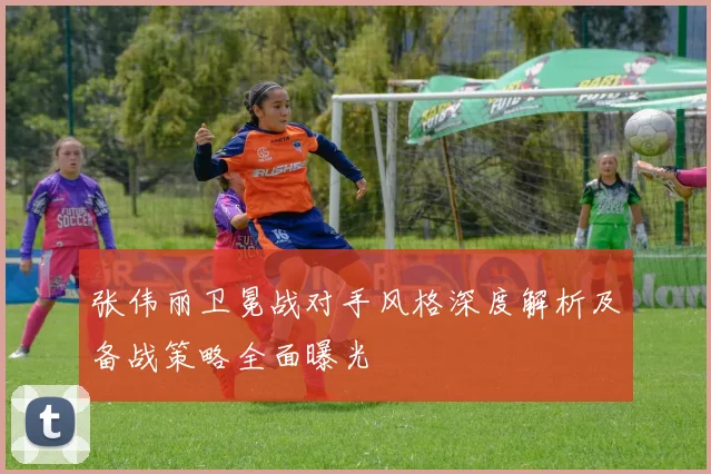 张伟丽卫冕战对手风格深度解析及备战策略全面曝光