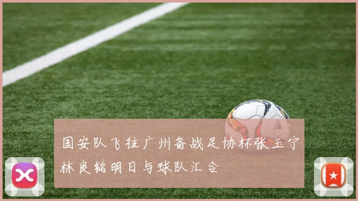 国安队飞往广州备战足协杯张玉宁林良铭明日与球队汇合